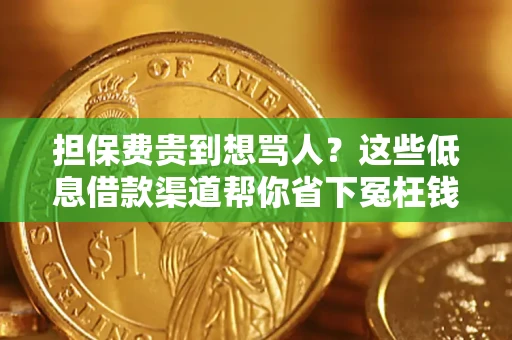 济南担保费贵到想骂人？这些低息借款渠道帮你省下冤枉钱