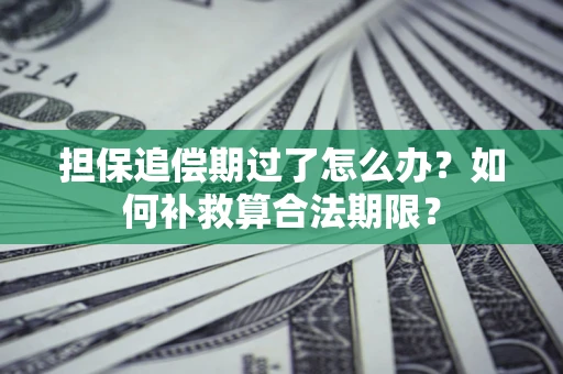 济南担保追偿期过了怎么办？如何补救算合法期限？