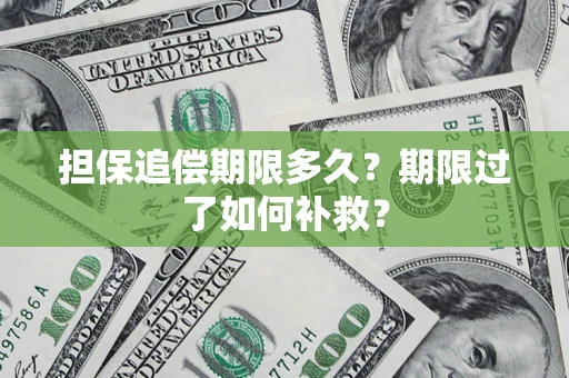 济南担保追偿期限多久？期限过了如何补救？