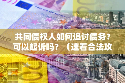 济南共同债权人如何追讨债务？可以起诉吗？（速看合法攻略）
