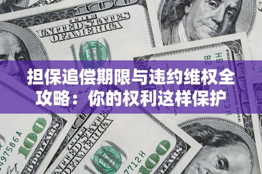 济南担保追偿期限与违约维权全攻略：你的权利这样保护