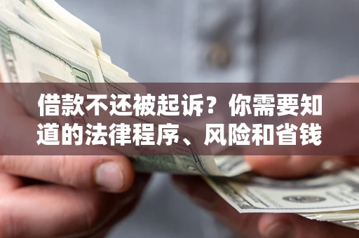 济南借款不还被起诉？你需要知道的法律程序、风险和省钱技巧