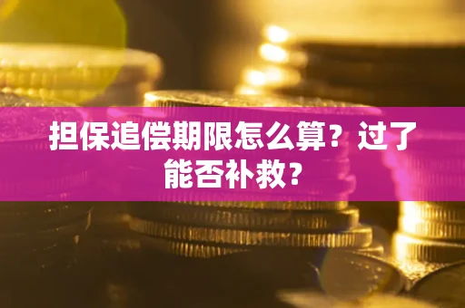 济南担保追偿期限怎么算？过了能否补救？
